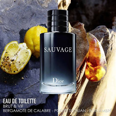 sauvage dior eau de toilett|Dior eau sauvage toilette 100ml.